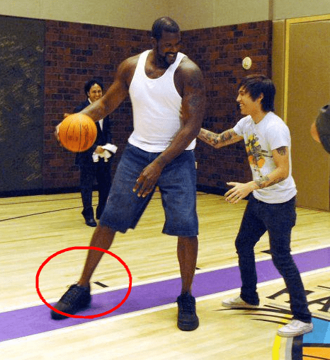 动的球队 动的球队